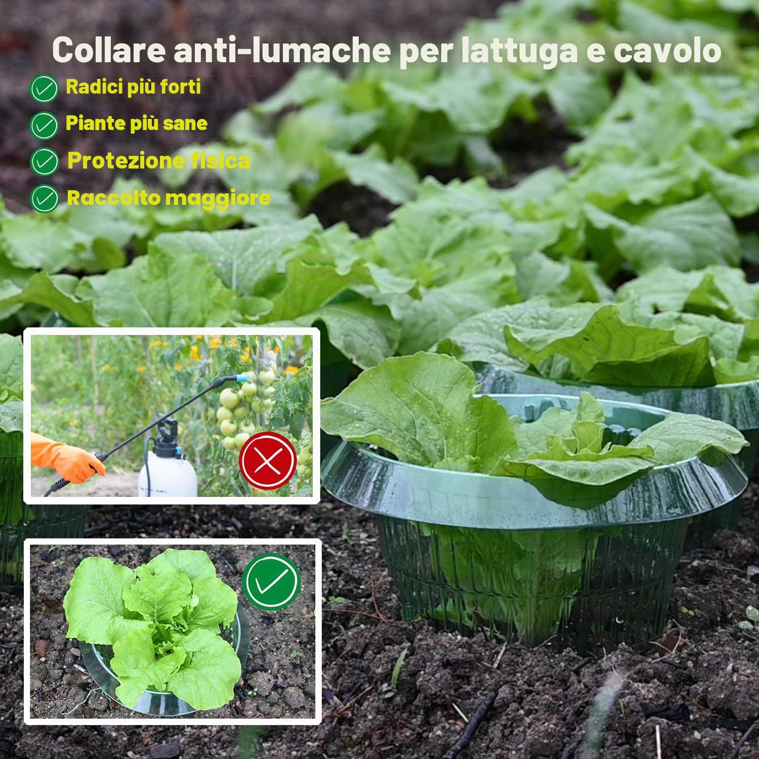 Collare per lumache, per Piante da Insalata e Carbone, Anti-lumache, Senza Prodotti chimici, Collo per lumache, Protegge Le Piante, per Essere più Belle(15 Pezzi)