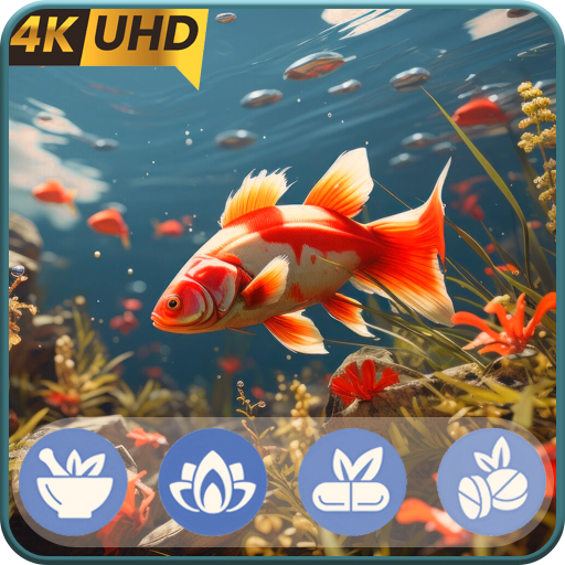 Magical Aquarium Worlds - Dreamy TV Screensaver & Loop