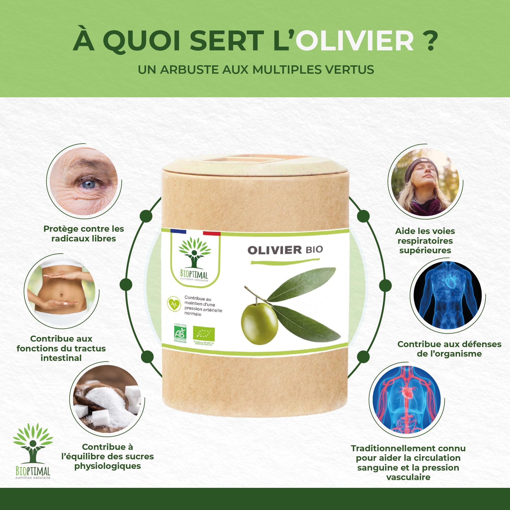 Olivier bio - Bioptimal - Complément alimentaire - Circulation Sanguine Tension Cardio - Feuille d'olivier en Poudre - 700mg par jour - Fabriqué en France - Certifié par Ecocert - 200 gélules