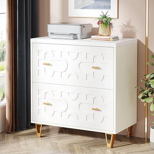 Tribesigns 2-Drawer Lateral File Cabinet, Modern White Filing Cabinet for Legal/Letter/A4 Size, Large Storage Filing Cabinet Printer Stand for Home Office, Warm White and Gold