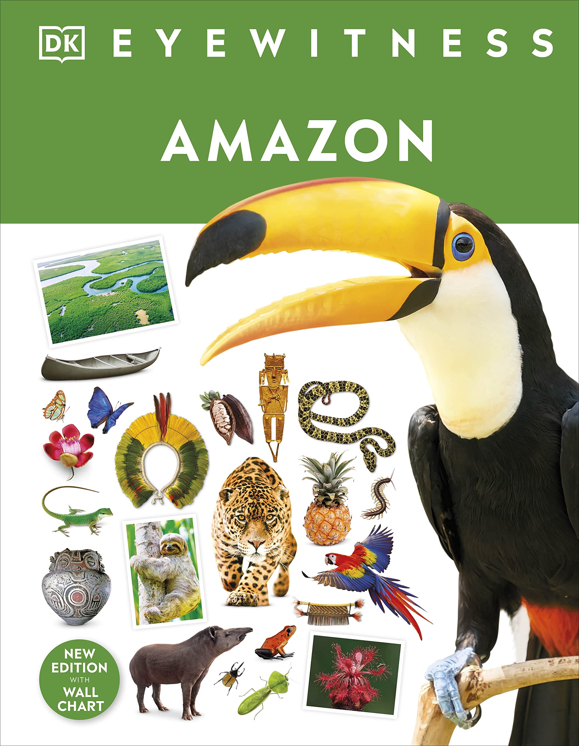 Amazon by  DK - 9780241569849