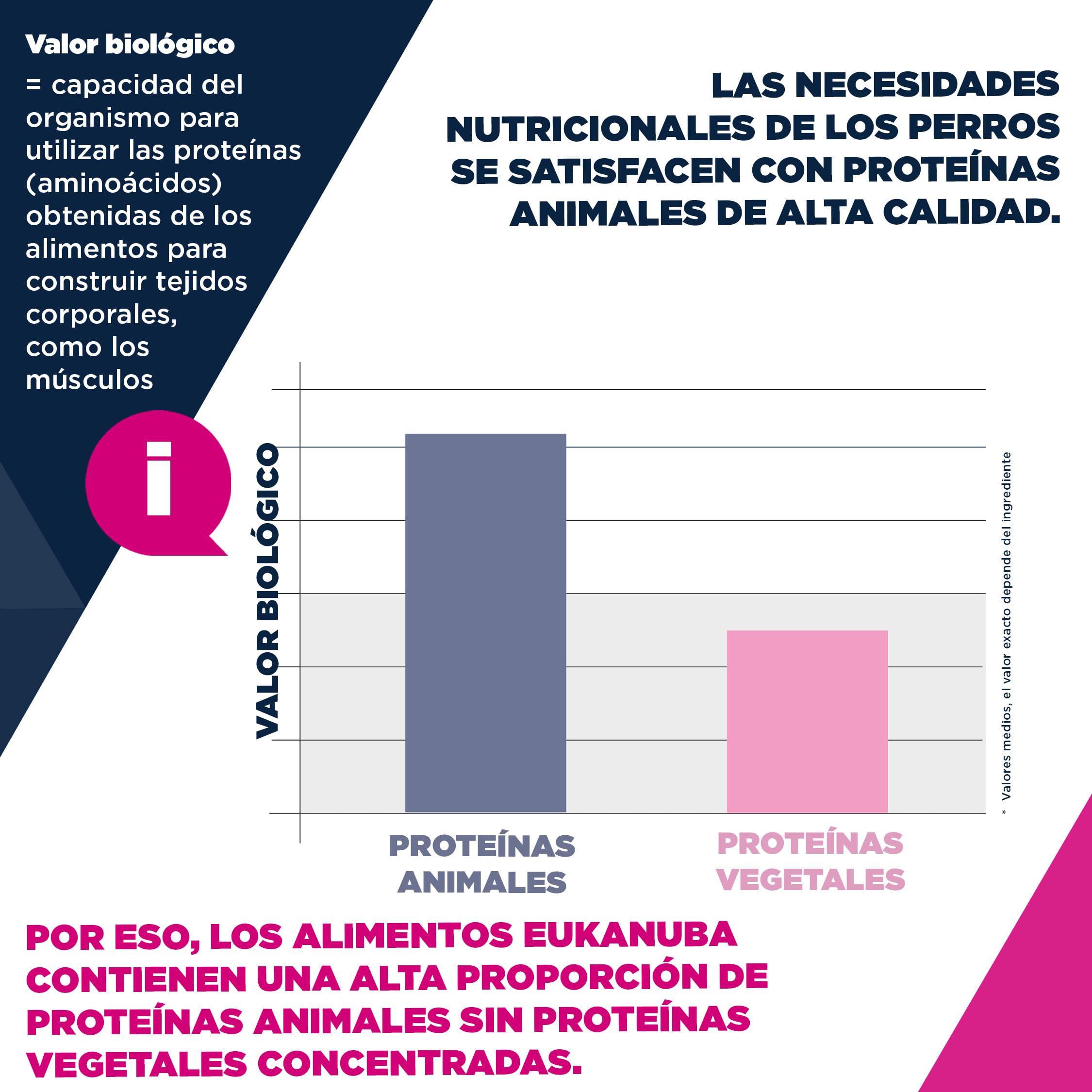 Eukanuba, alimento para Perros con Pollo Fresco para Razas Medianas - Alimento seco Premium para Perros Adultos, 15 kg
