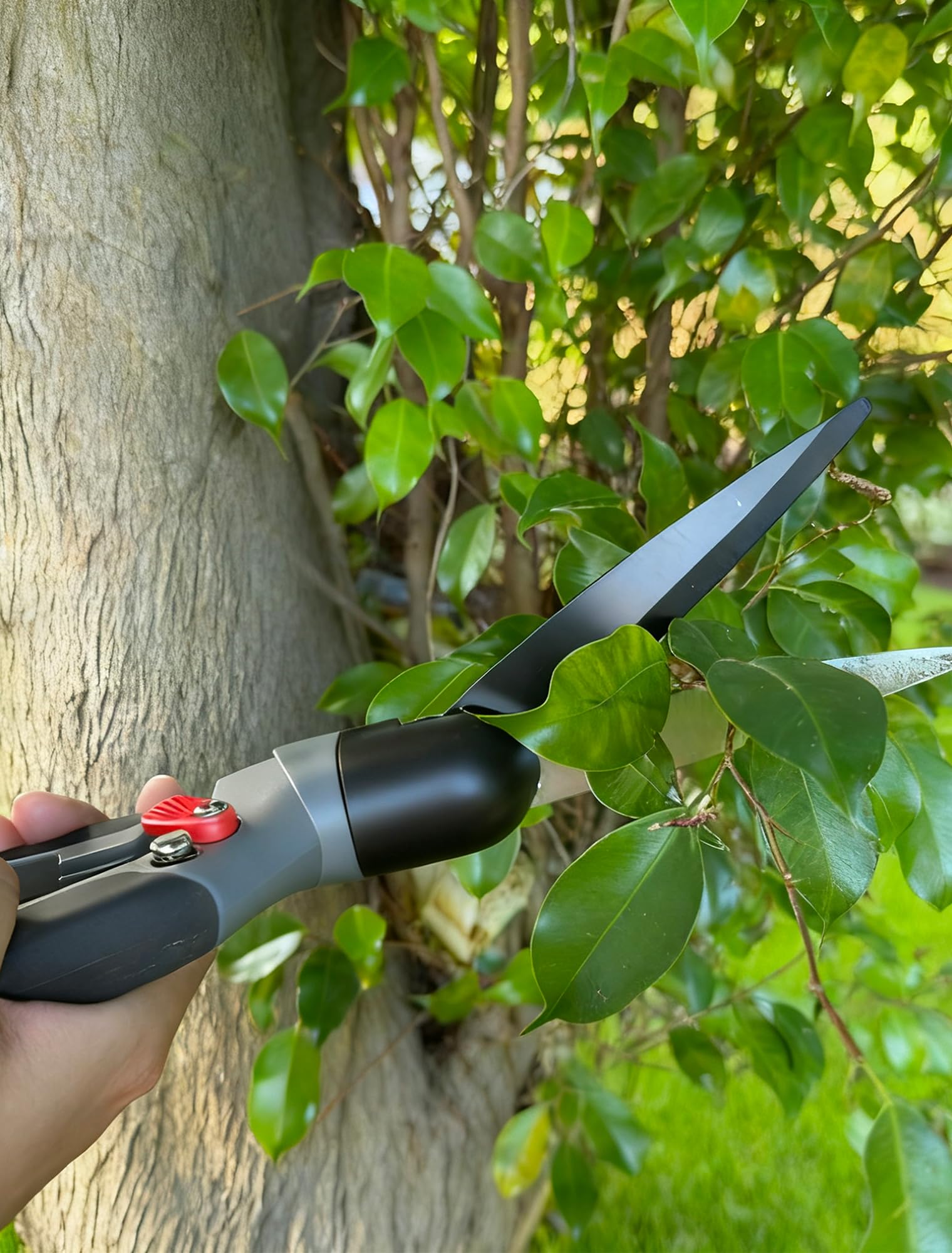 Cisailles à gazon, lames pivotantes à 340° en acier inoxydable, Comfort ciseaux de jardinage portatifs et tranchants avec tranchants orientables revêtement anti-adhésif