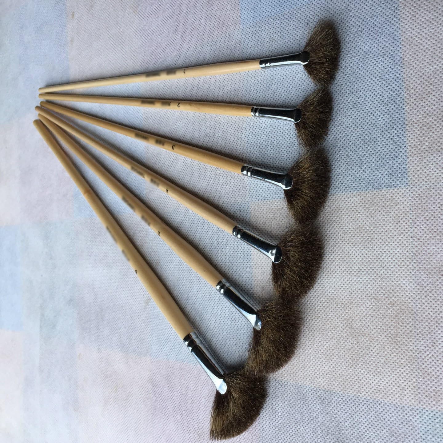 Ensemble de pinceaux pour Aquarelle et Peinture à l'huile en Forme d'éventail avec 6 stylos d'art (Beige comme illustré)