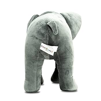 Elephant Brand 2冊 Zuny | Official Website | Proudct