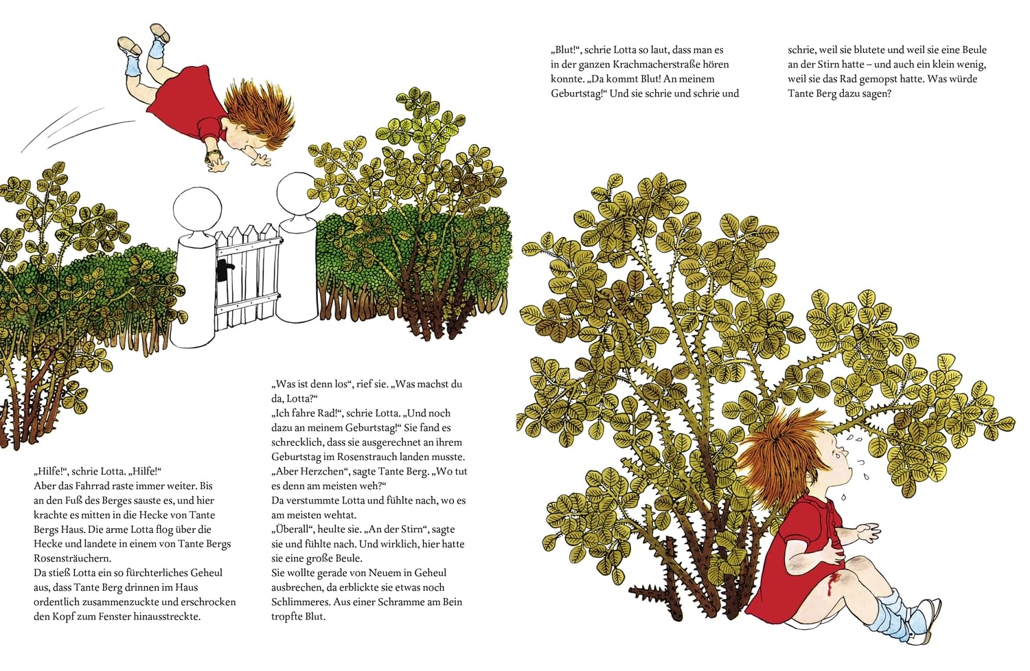Das große Buch von Lotta: Alle Oetinger Bilderbücher über Lotta aus der Krachmacherstraße in einem Band. Astrid Lindgren Bilderbuch und Vorlesebuch ab 4 Jahren