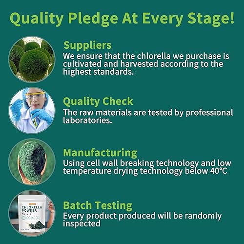 Miniatura 2 de Chlorella Powder Natural - Polvo de clorofila, apoya el sistema inmunológico y la función hepática, mantiene a la juventud, vegano, rico en