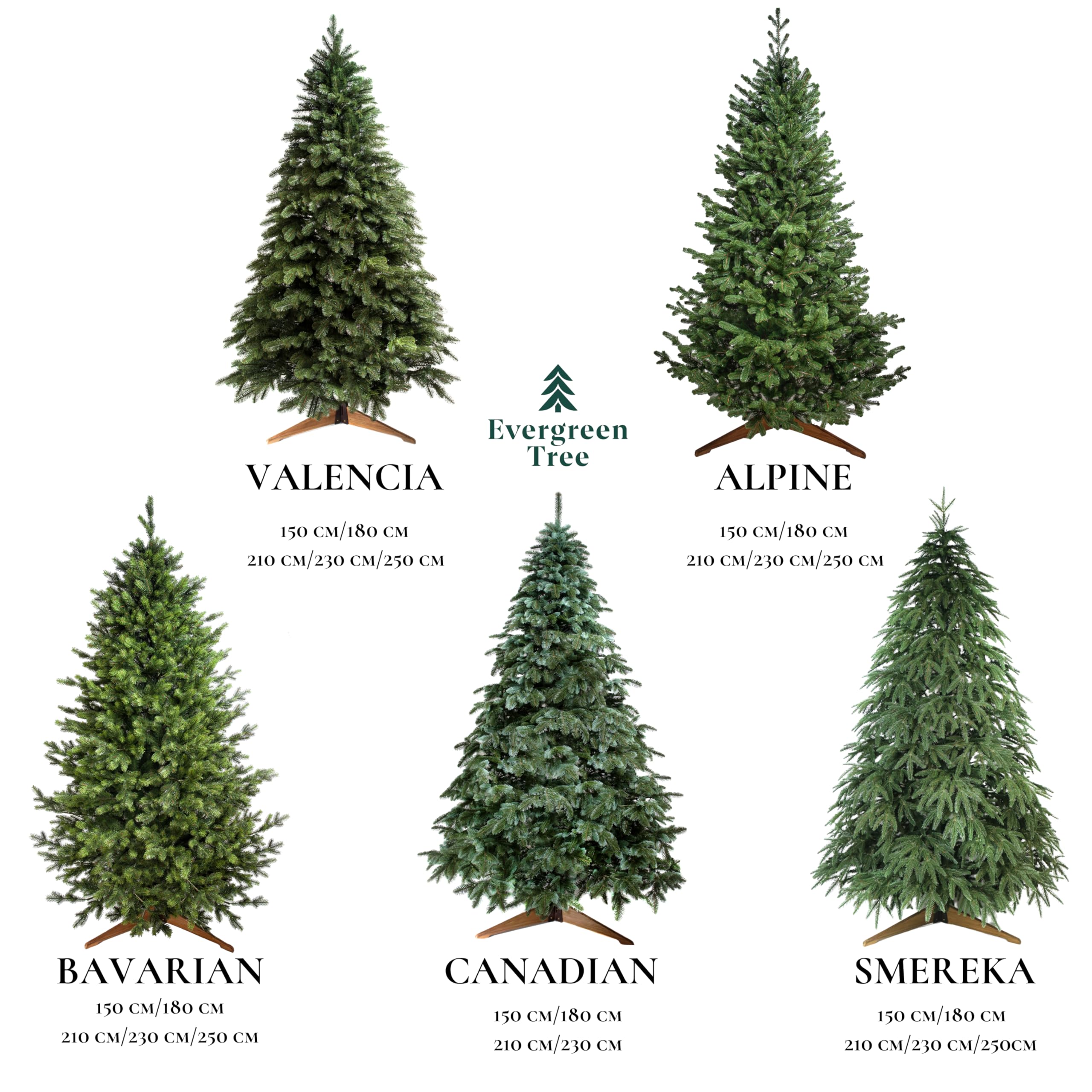 Evergreen Tree® Sapin de Noël Artificiel 210 cm Premium - 100% Moulé par Injection, Fabriqué dans l'UE - avec Support en Bois Naturel