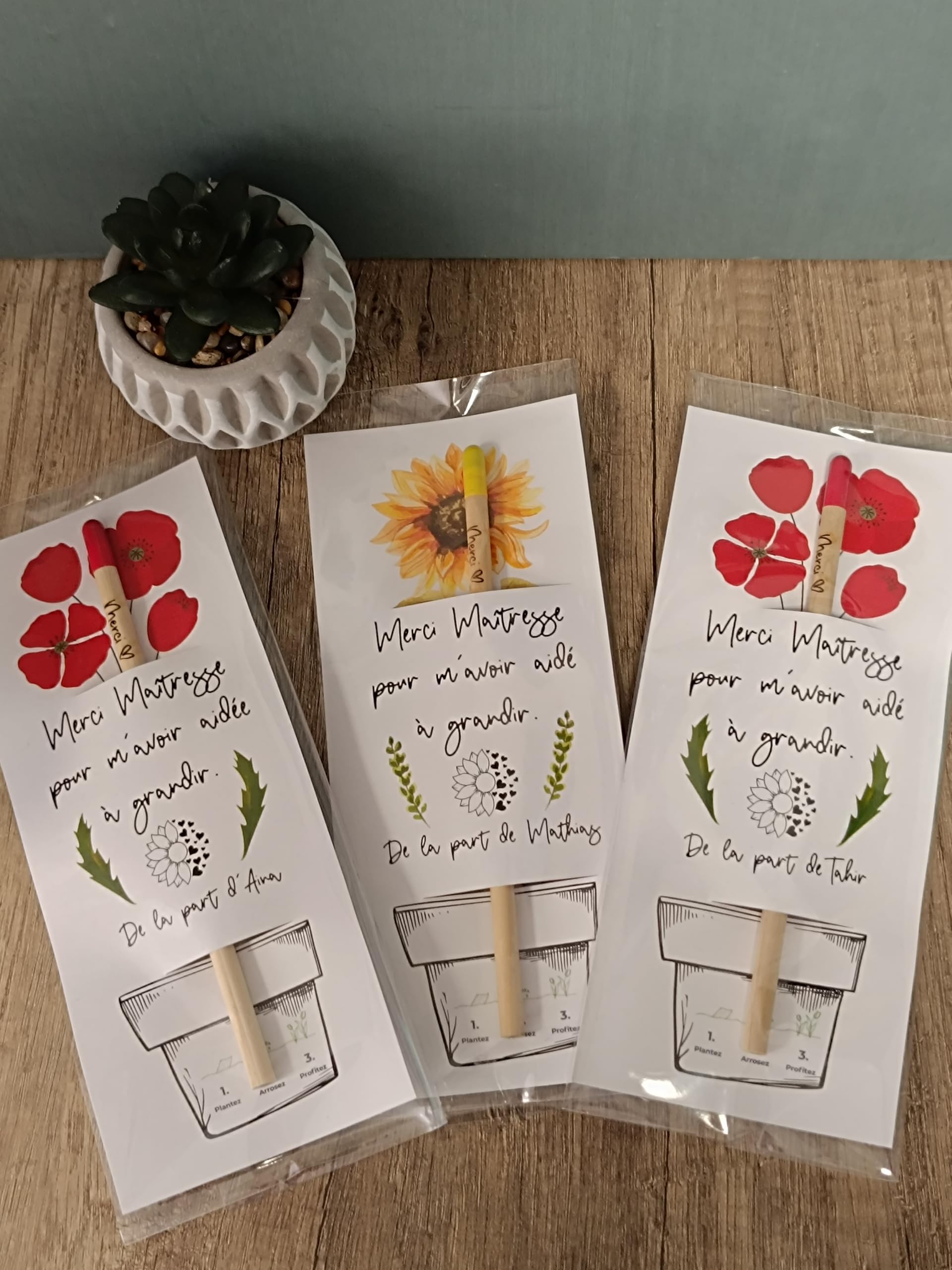 Crayon à planter Merci Tournesol Lavande Coquelicot Cadeau Maîtresse Atsem Nounou