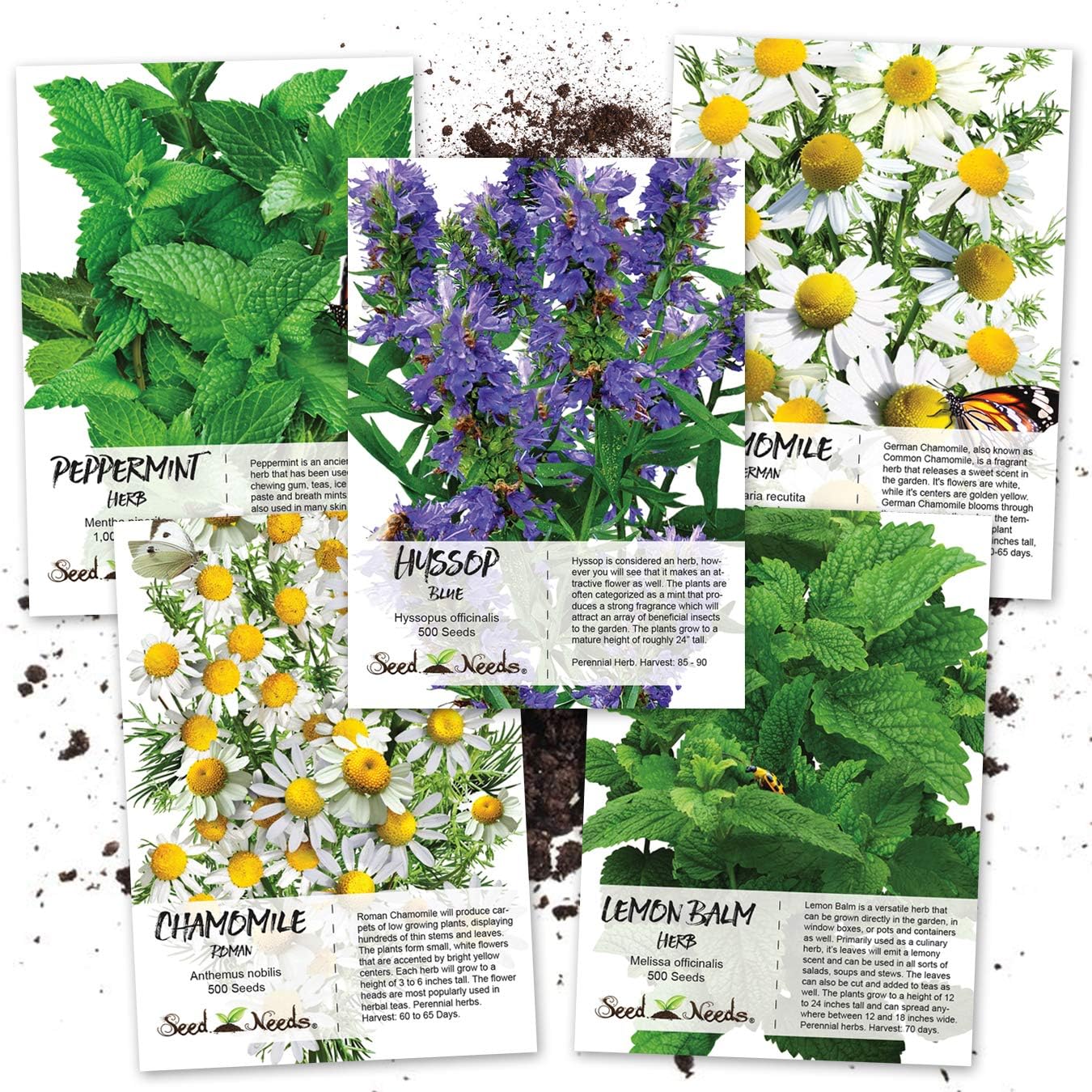 Seed Needs, Medicinal Herb Seed Packet Collection (5