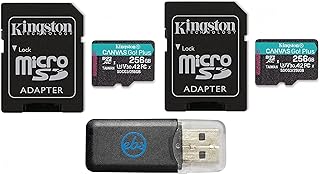 Kingston Canvas Go Plus U3 V30 A2 256GB MicroSDXC (2 Pack) Memory Card Works with DJI Avata, Mini 3 Pro, RC, RC Pro, FPV Goggles V2 (SDCG3/256GB) Bundle with (1) Everything But Stromboli Card Reader