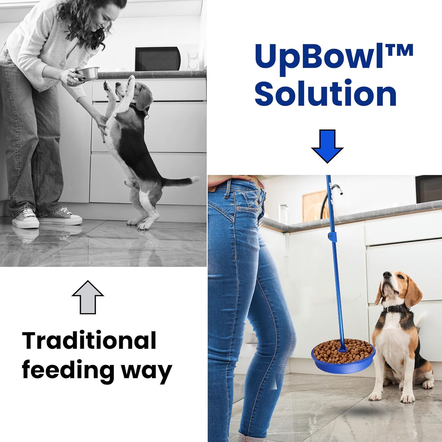 UpBowl™ No Bend Pet Bowl Kit – Pole & 2 Bowls | Easy Lift, Fill & Place Dog or Cat Bowls Without Bending