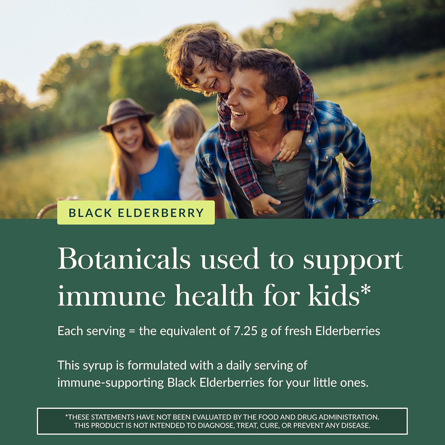 Gaia Herbs GaiaKids Black Elderberry Syrup - Delicious Immune Support Supplement for Kids* - with Organic Black Elderberries & Honey - USDA Certified Organic Syrup - 3 Fl Oz (About 18 to 36 Servings) - Image 5