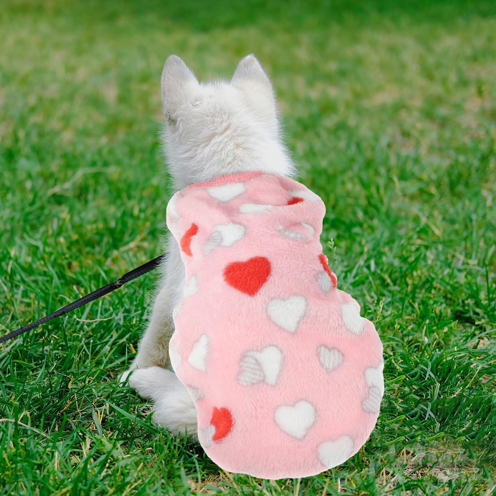 Gatuida Chaleco para Perro Pequeño de Franela Cálida 4 Piezas Diseños de Dibujos Animados Corazón Oruga Caballito de Mar Caracol Ropa de Invierno para Mascotas Adecuado para