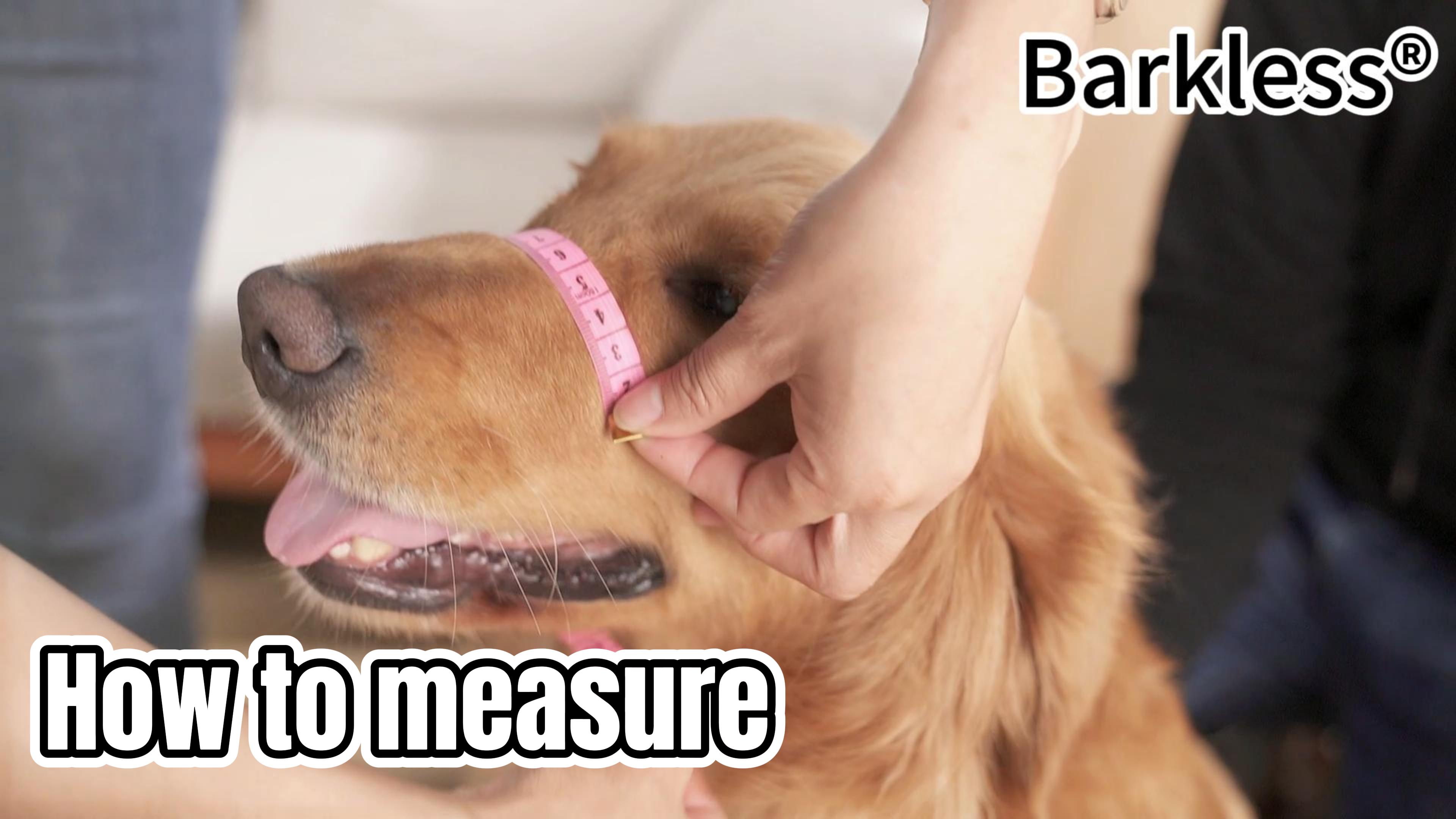 BARKLESS Dog Head Collar, No Pull Head Halter with Soft Padding, Reflective Soft Padded Snout Harness for Medium Dogs, Beagle - image 8
