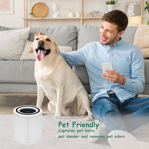 Miniatura 4 de Reemplazo de filtro TT-AP005, compatible con purificador de aire TaoTronics TT-AP005, prefiltro 3 en 1, HEPA verdadero de grado H13 y filtro de