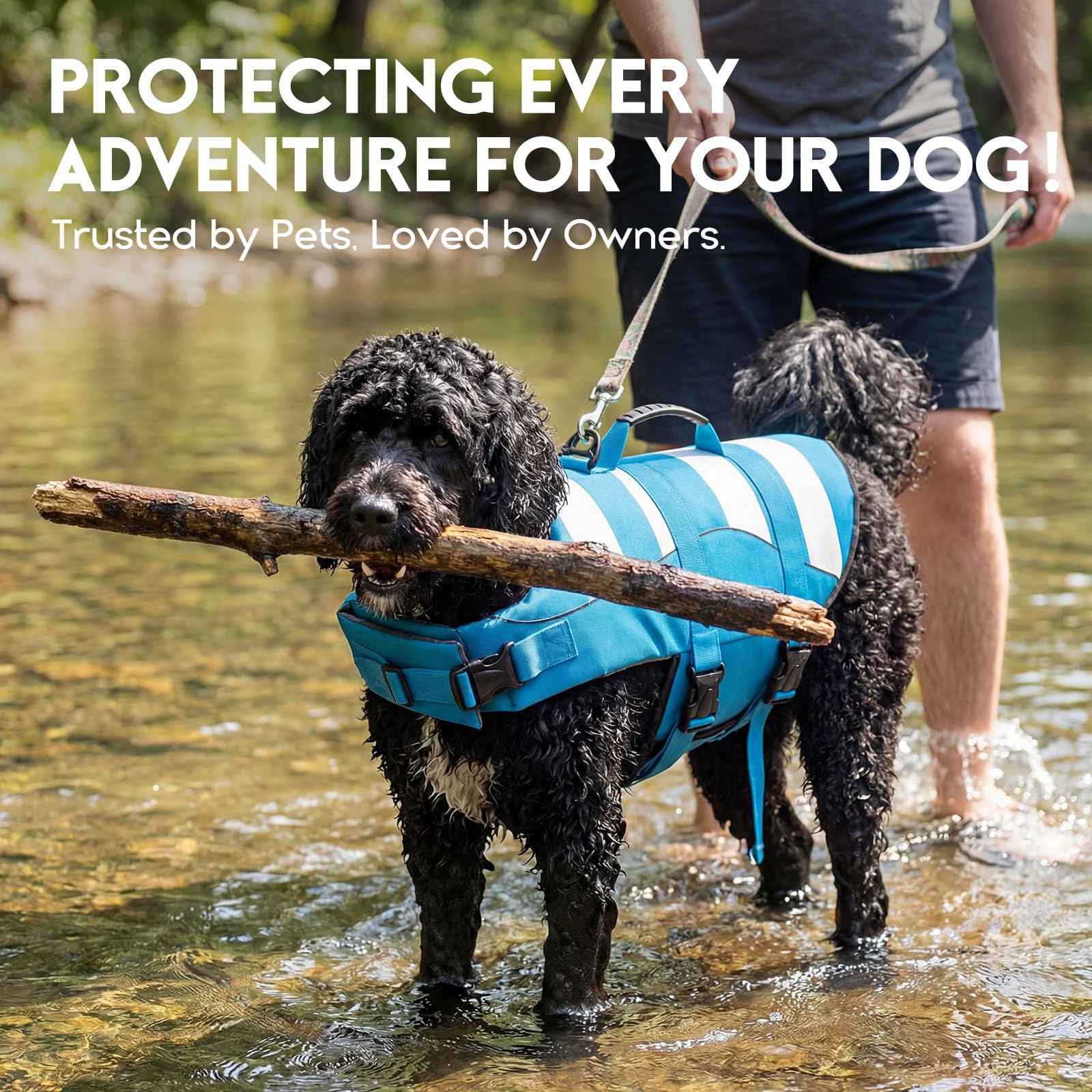 ASENKU Chaleco Salvavidas para Perro, Chaleco Flotador Perro, Chalecos Flotantes Ajustable para Perros con Asa, Chaleco Salvavidas para Perros Pequeños, Medianos y Grandes, XS