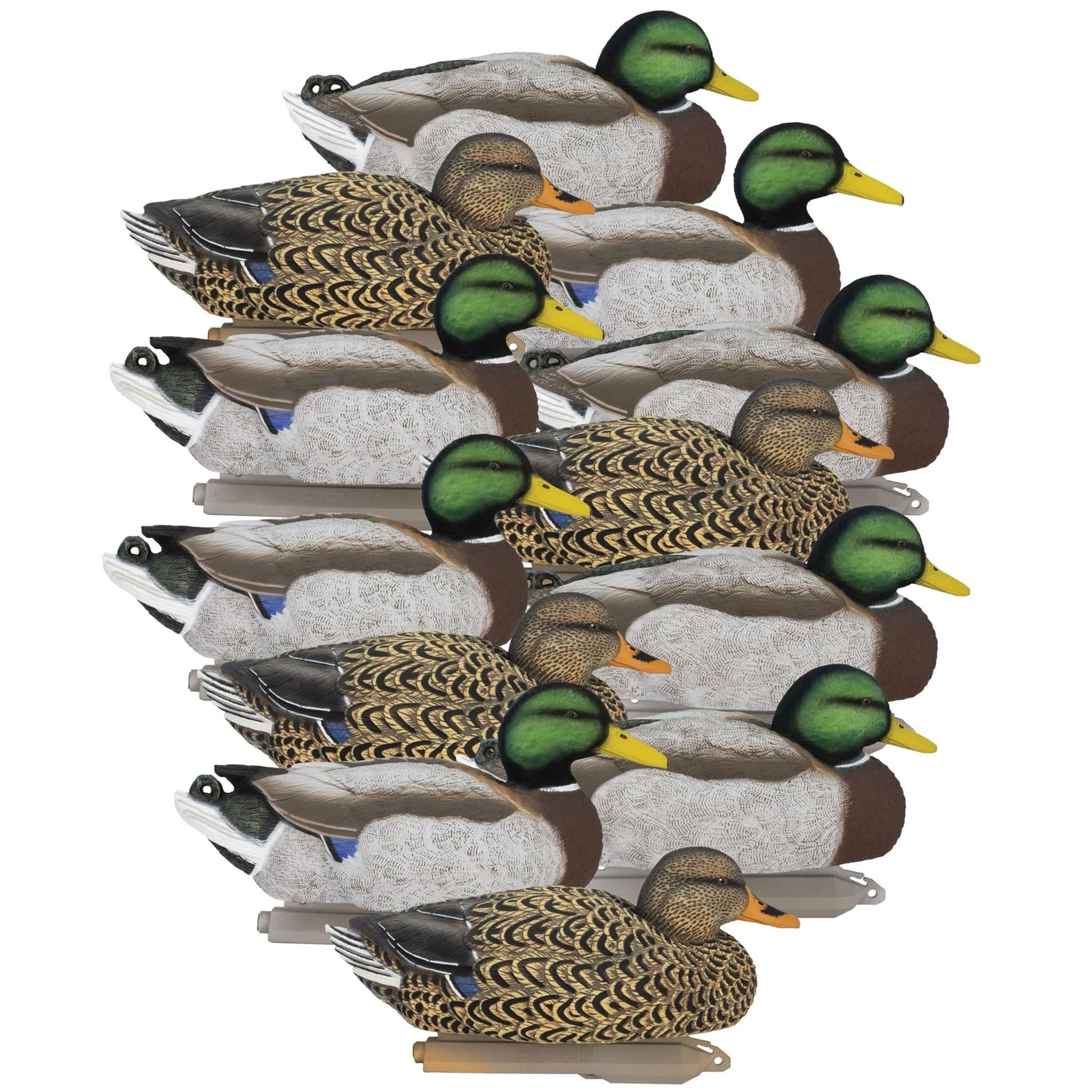 Higdon Outdoors Legacy Magnum Stockente | Schwimmende Entenköder | 4 aktive & 4 Rester-Drakes & 4 Rester-Hühner für die Wasservögeljagd | Schaumstoffgefüllt | beflockte Kopfdrachen | 12 Stück