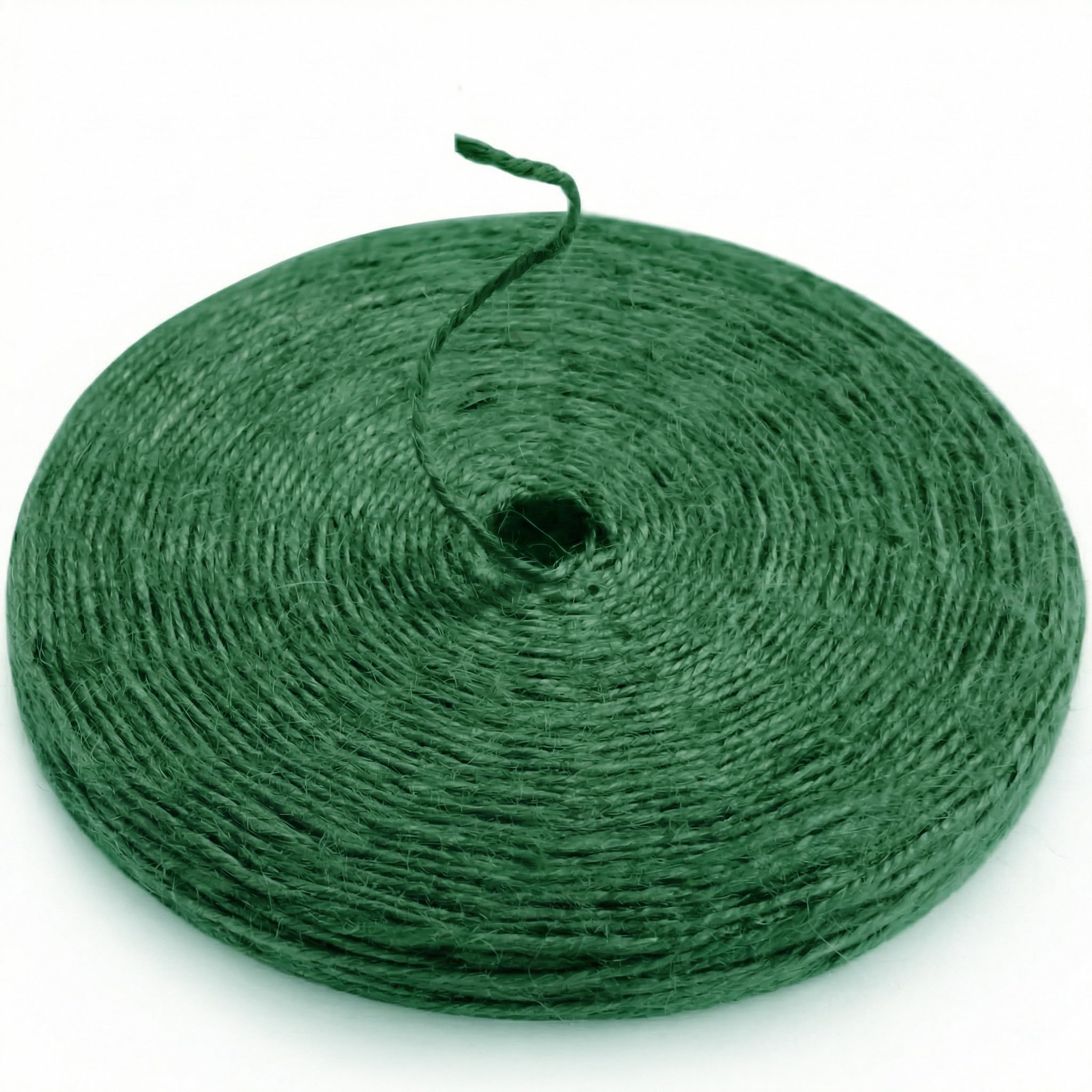 SMART&amp;CASUAL 2mm Natural Jute Twine String Thin for Craft Plant Garden Gift Wrapping Christmas Handmade Art Decoration Packing String Home Art Decoration (Leaf Green) (328 Ft (100M))