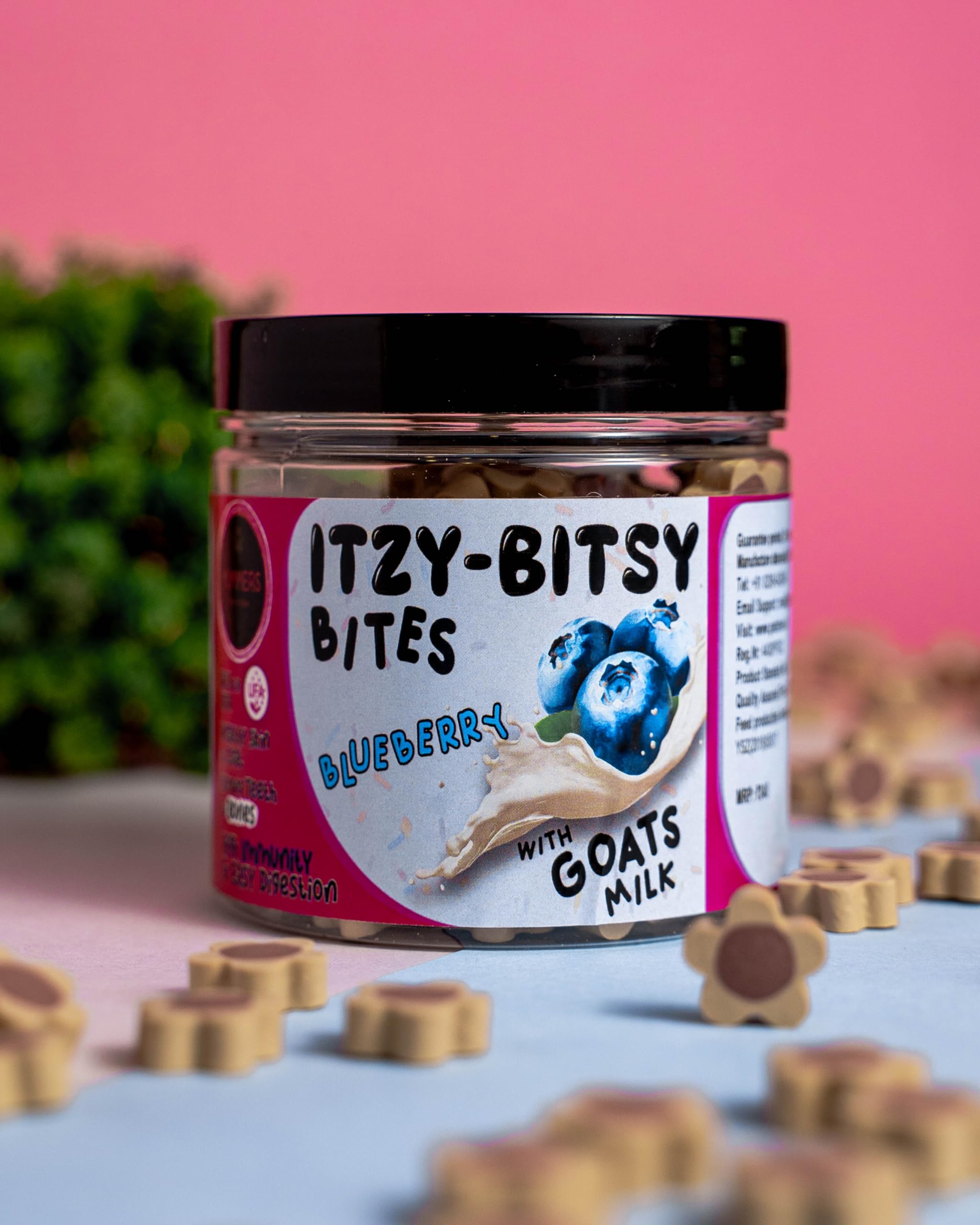 Yummers Blueberry with Goats Milk Dog Treat (B0CJMC8PNG) Amazon Price History, Amazon Price Tracker
