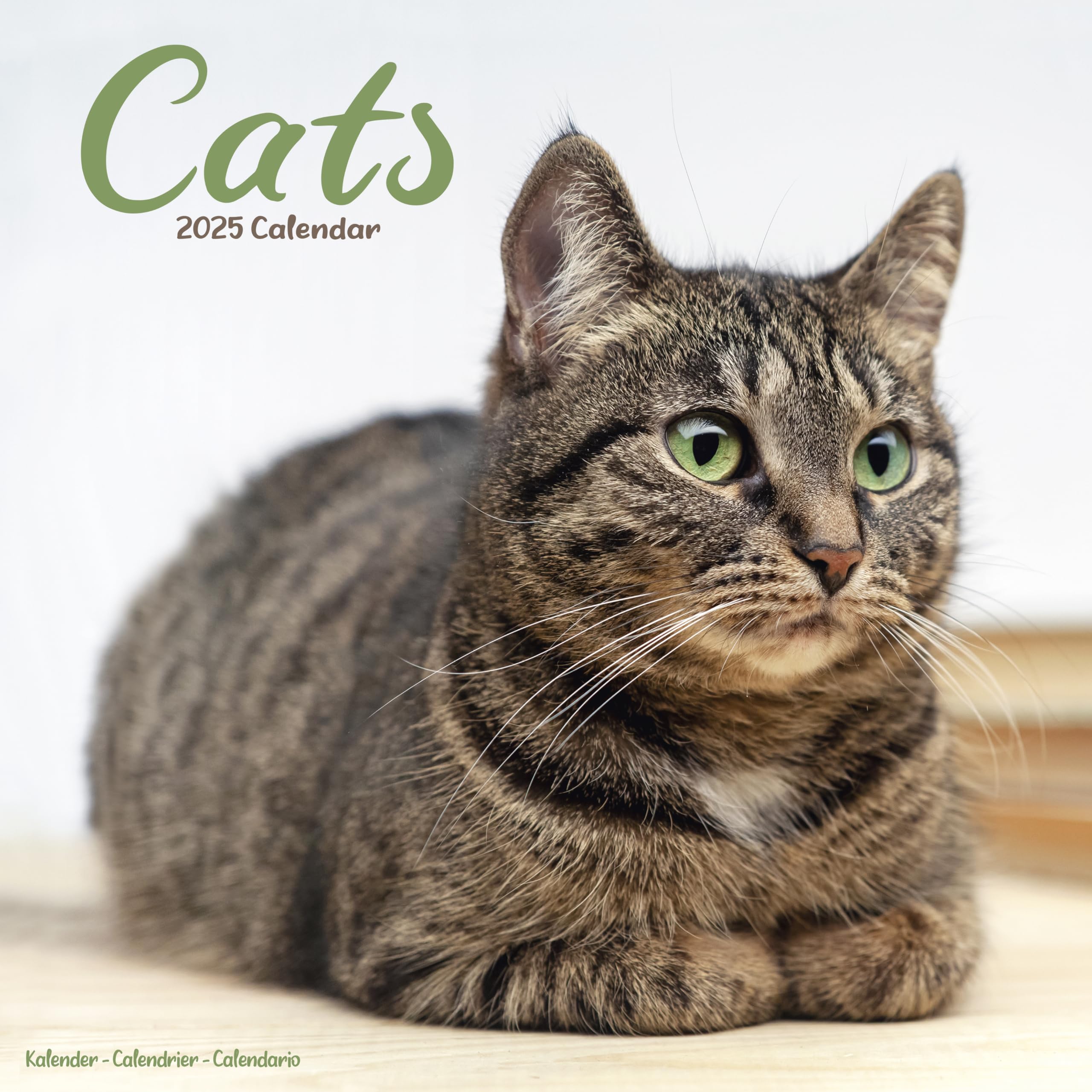 Cats 2025 Square Wall Calendar (Cat Calendar 2025 English Edition)