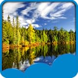 pappelsperrholz hornbach O Nur halten, um es als Hintergrund