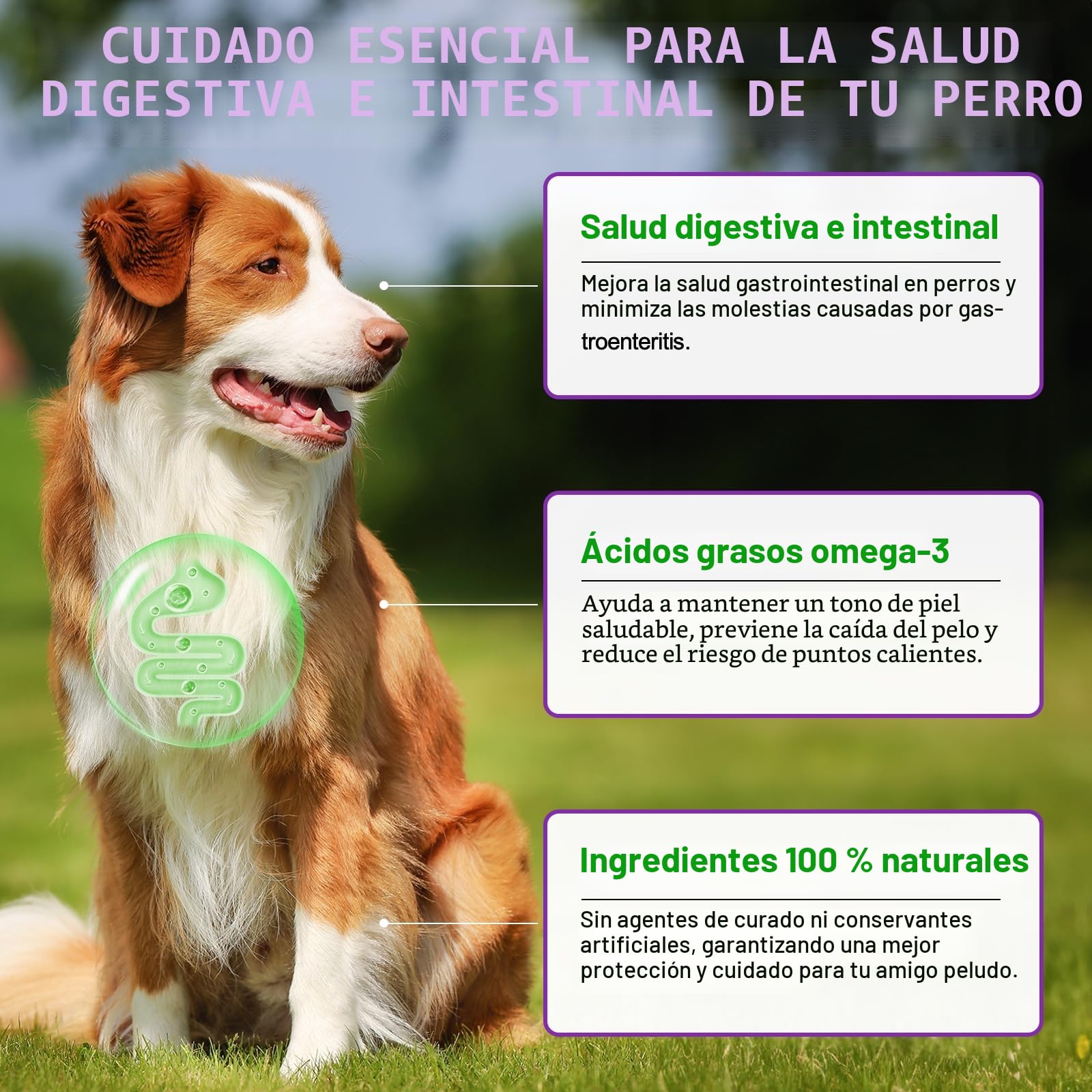 Alivio de la Alergia del Perro, Dog Allergy Relief Treats, Snacks Antialérgicos para Perros, Alivia la Picazón, el lamido, el Rascado y la Depilación, Refuerza la Inmunidad, Alergia e Inmunidad Perros