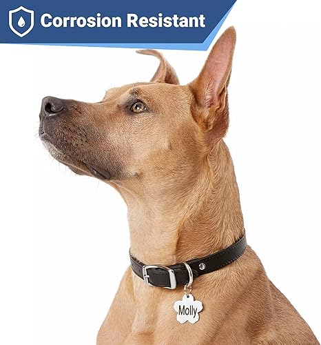 Miniatura 9 de Placa de identificación para mascotas, de acero inoxidable, etiquetas personalizadas para perros y gatos, hasta 8 líneas de texto personalizado,