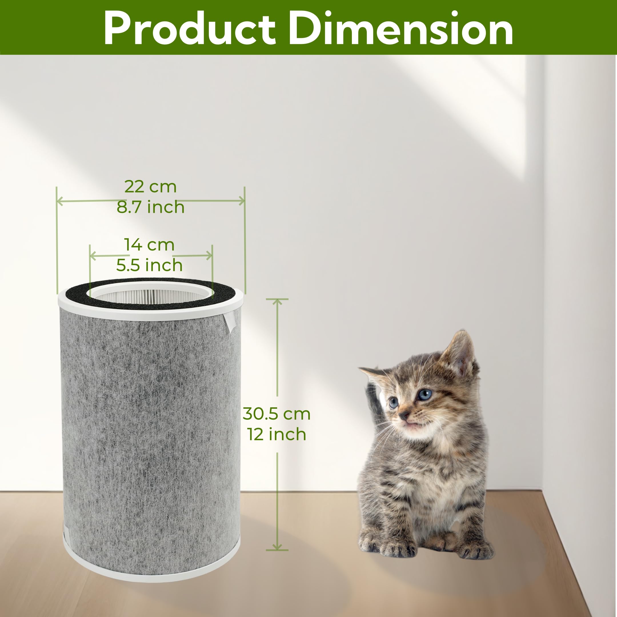 https://m.media-amazon.com/images/I/81OL9EF7duL.jpg