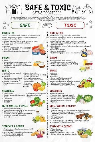 UCGAOIOQ Keep Pets Safe Poster - Dangerous Foods for Dogs