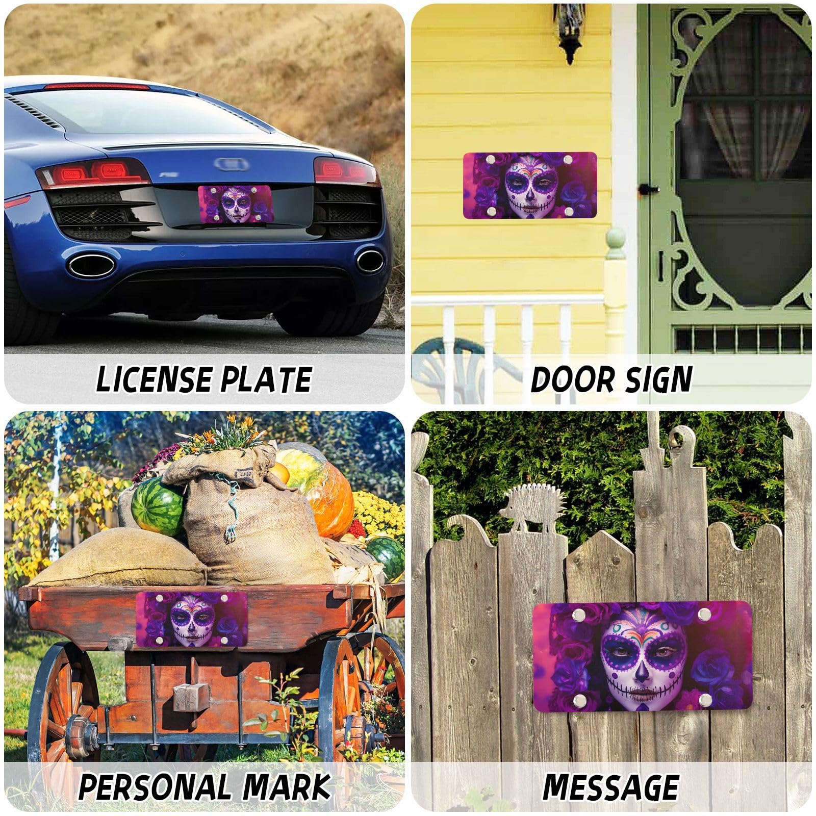 Funny Skull Skeleton Front License Plate - 6x12 Inch Aluminum Novelty Car Plate With 4 Holes - View #9