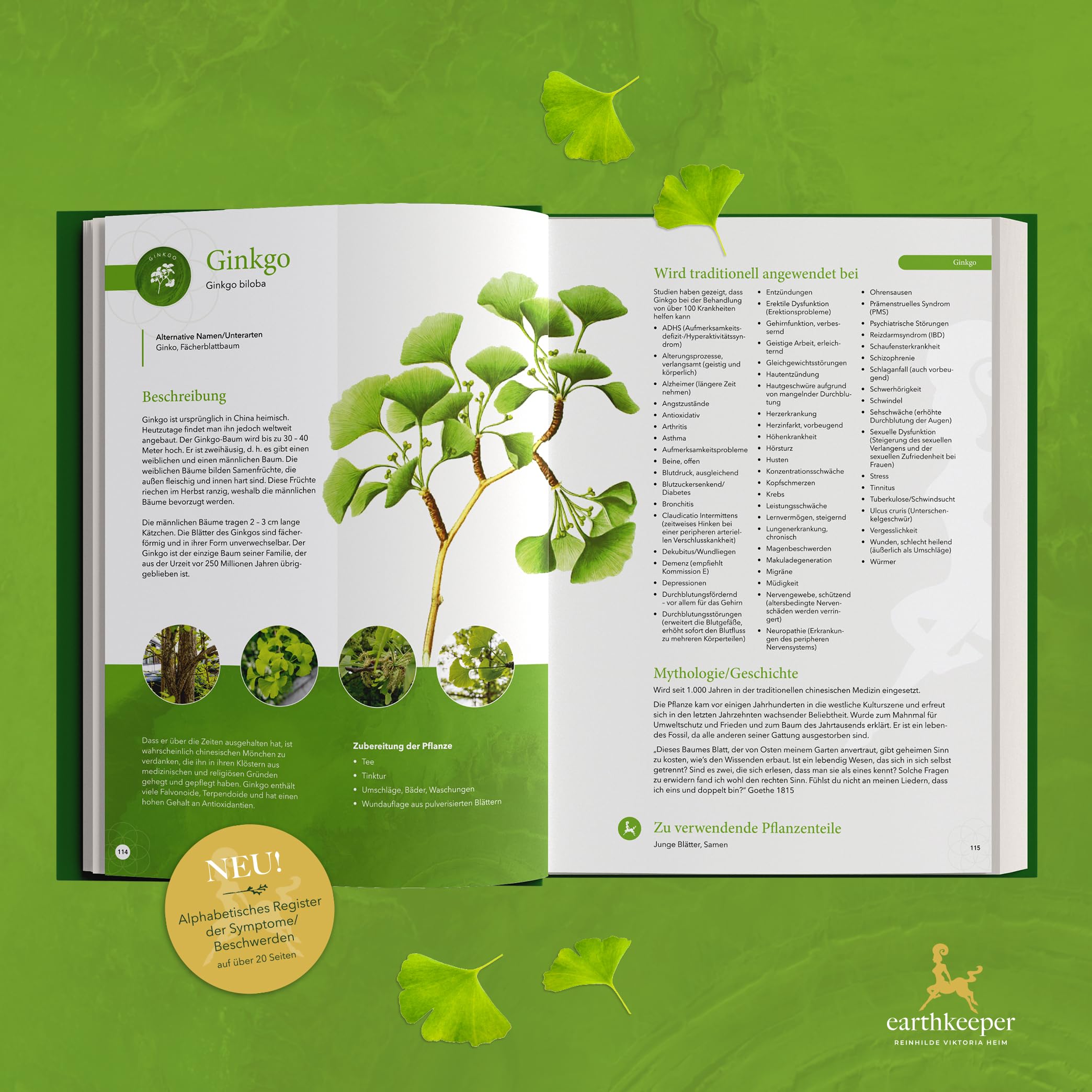 Herbaria: 160 kraftvolle Heilpflanzen für Körper, Herz & Seele mit Rezepten & Ritualimpulsen