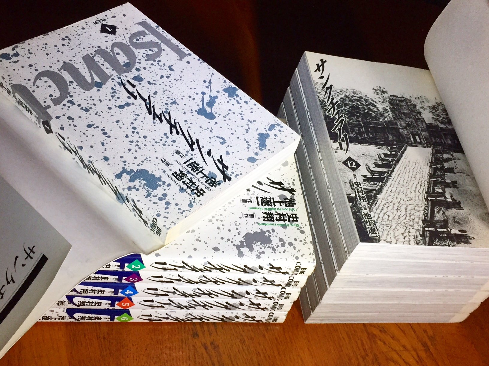 Amazon.co.jp: 【コミック】サンクチュアリ（全12巻） : 池上 遼一