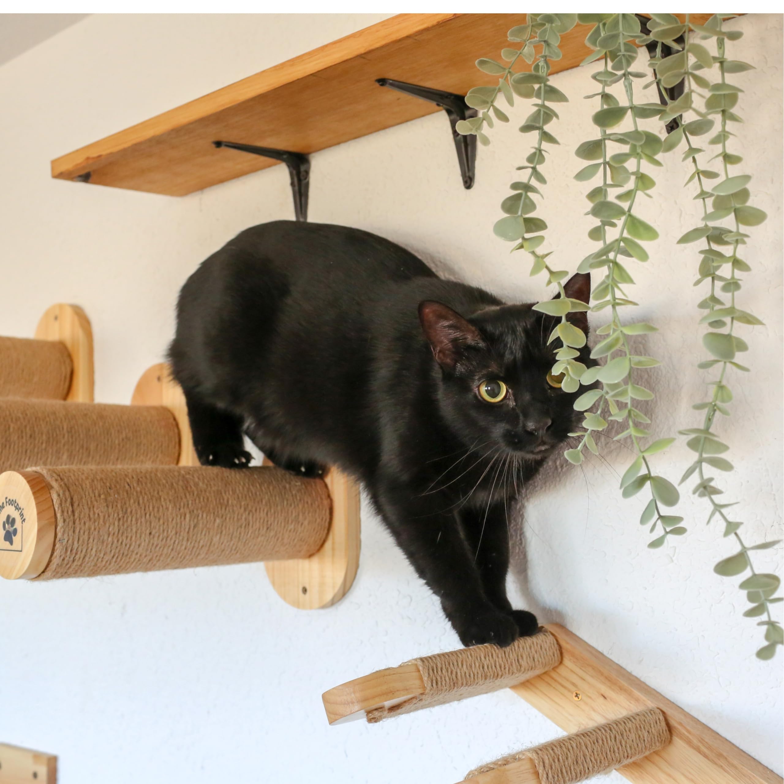 Mensole Gatto da Parete - Scala per Gatti Reversibile - Mensole per Gatti - Naciti Gioco Tiragraffi (Stairs)