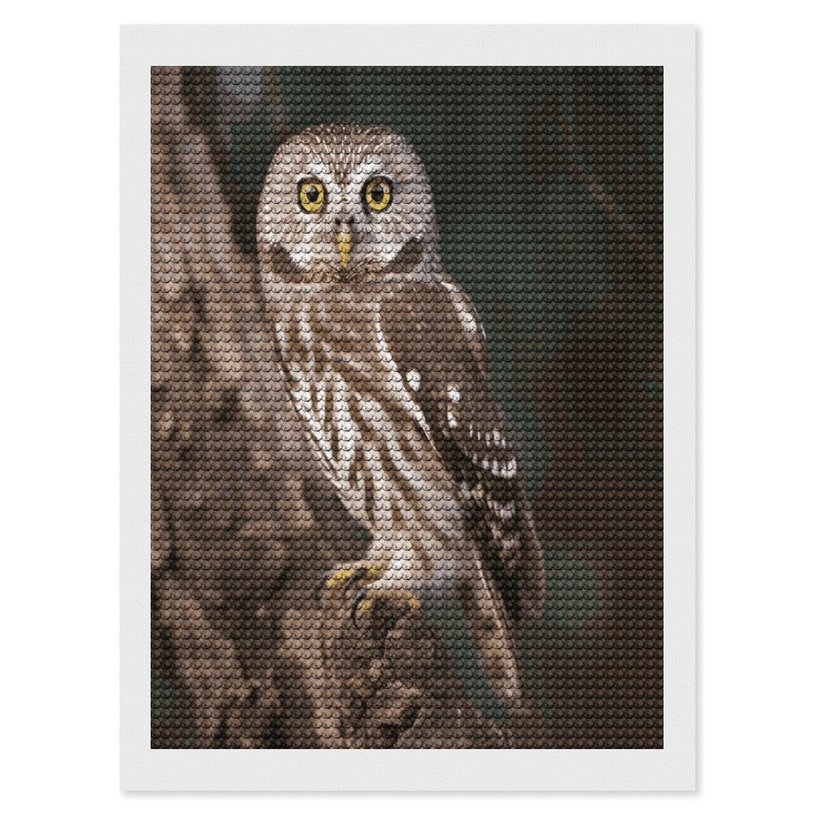 JTREHY Wildlife Animal Owl Diamond Art Kits Personalized DIY Round Diamond Painting Kits for Beginner Full Drill Diamonds Dots Paintings for Adults Gem Art Crafts Home Decor