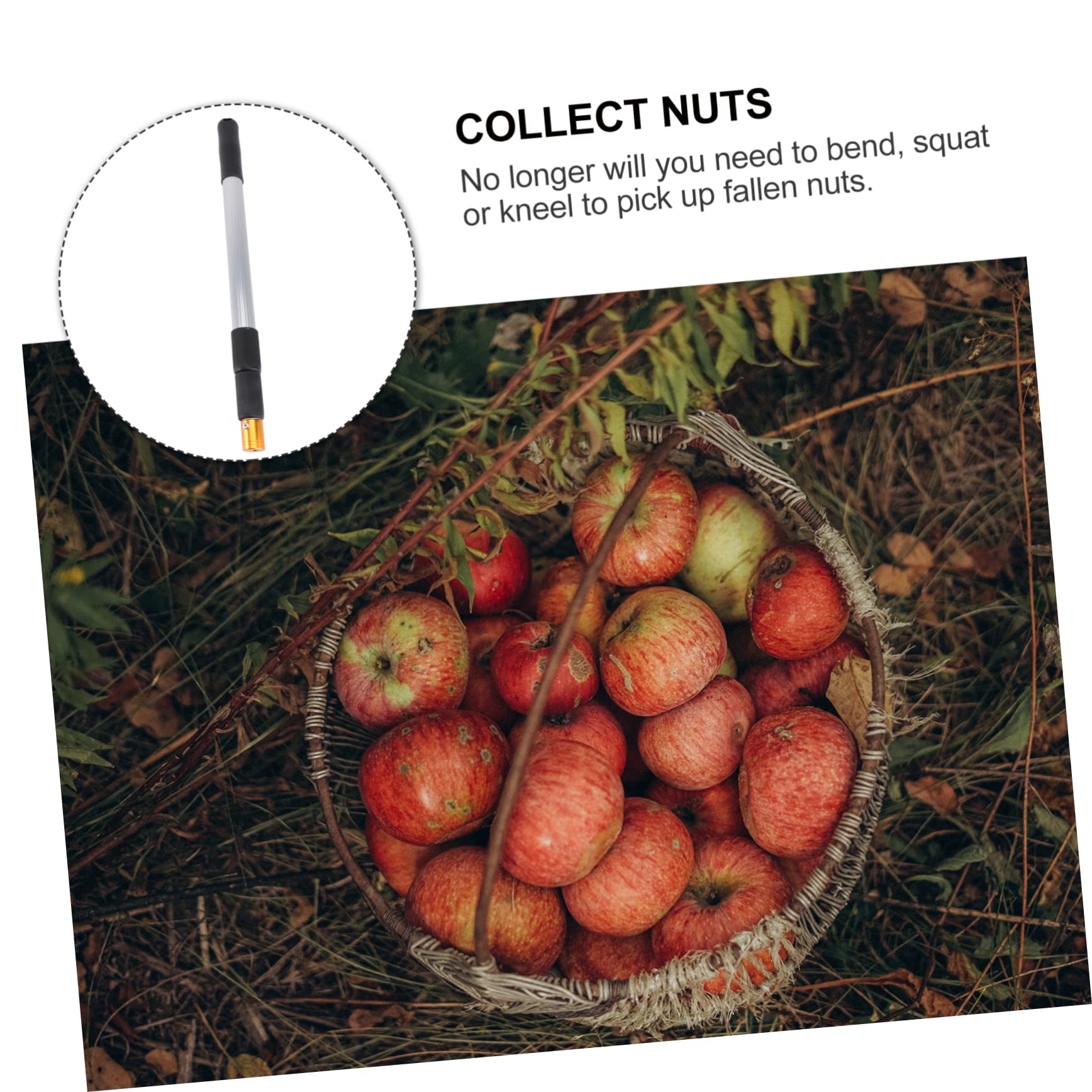 Cueilleur de Fruits Télescopique en Alliage D’Aluminium 3 Sections pour Jardin, Ramasse-Noix Portable roulettes, Outil Multifonction pour Récolte Facile et Rangement Compact