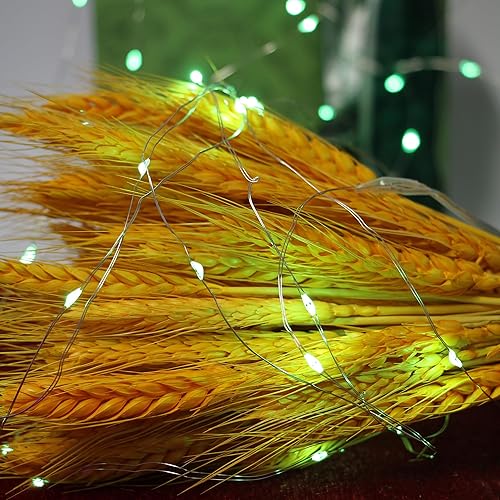 Miniatura 5 de FTEOYEL Paquete de 6 tiras de luces de hadas que funcionan con pilas, con modo intermitente, 30 luces LED de 10 pies para dormitorio, regalo,