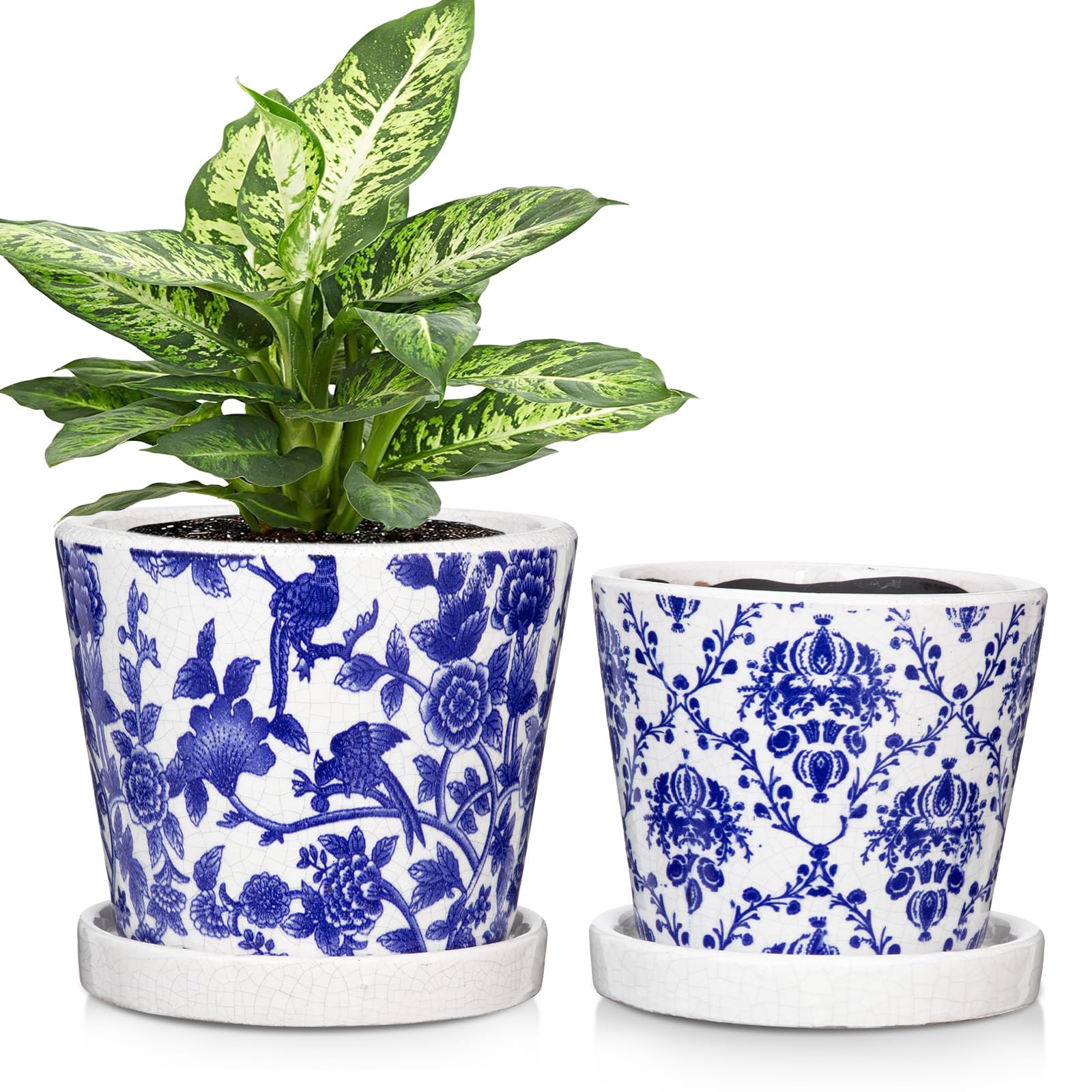 Oairse 2 vasi da fiori in ceramica, rotondi, con fori di drenaggio, sottovasi, piccoli vasi per piante grasse e cactus, interni e esterni, giardino, casa, davanzale