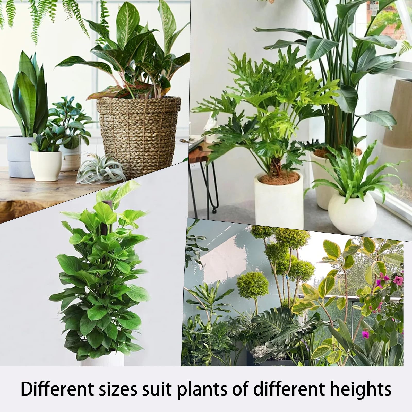 Lot De 8 Indicateurs De Niveau D'eau Pour Pots De Fleurs D'intérieur