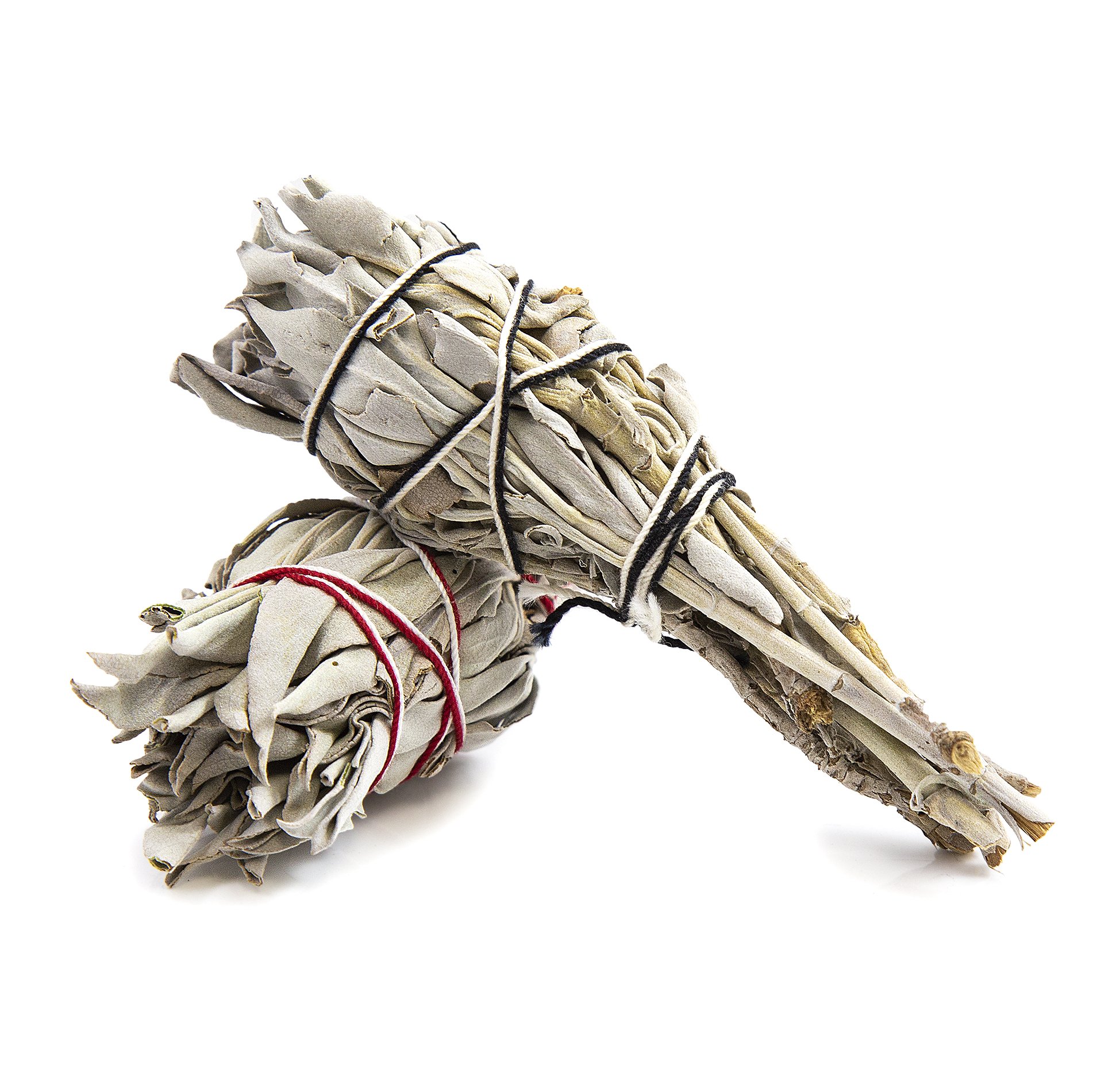 Beverly Oaks California White Sage 4