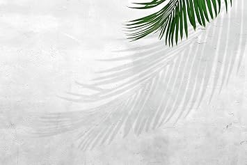 Amazon Co Jp Nd タペストリー 北欧 ボタニカル 観葉植物 レンガ インテリア おしゃれ グリーン ナチュラル シンプル ホワイト モンステラ リーフ 大判 癒し 部屋 飾り 窓 オンライン飲み会 背景布 インスタ映え 布 テレワーク Zoom 映え デザイン1 ホーム キッチン