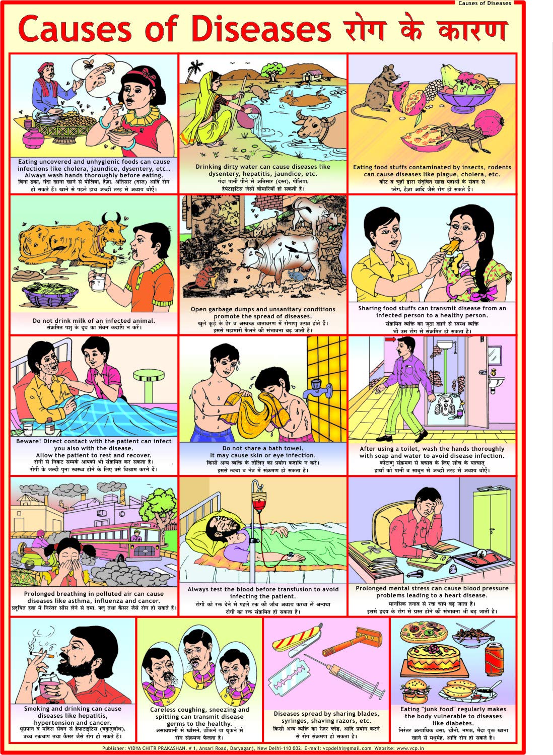Causes of Diseases Wall Chart – 1 January 2018