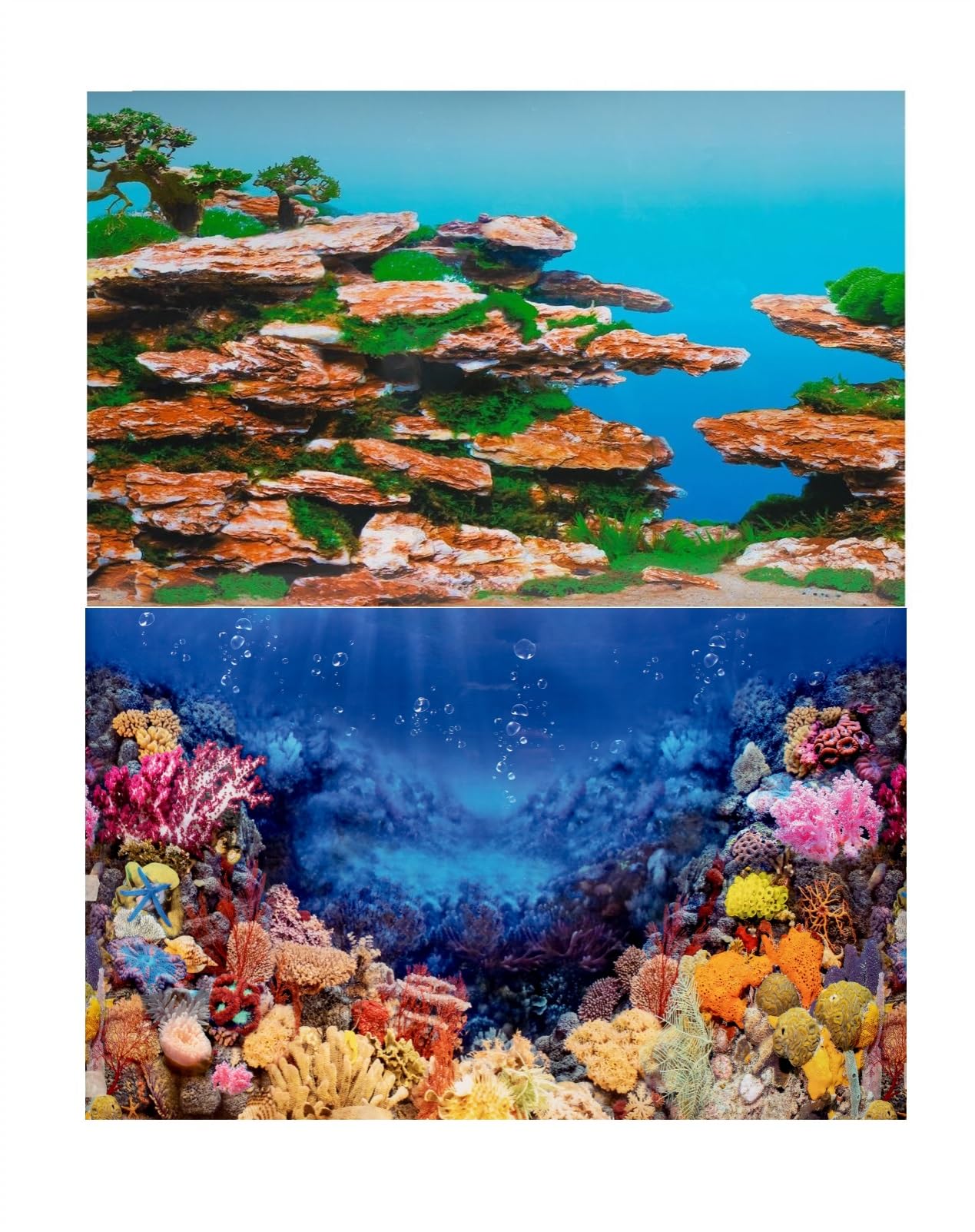 Hidom Aquarium Fish Tank Background Picture décor Poster Double Sided - Height 16" / 40cm - Two Scenic Pictures displaying Aquatic Backdrops - Length 2 FT / 61cm