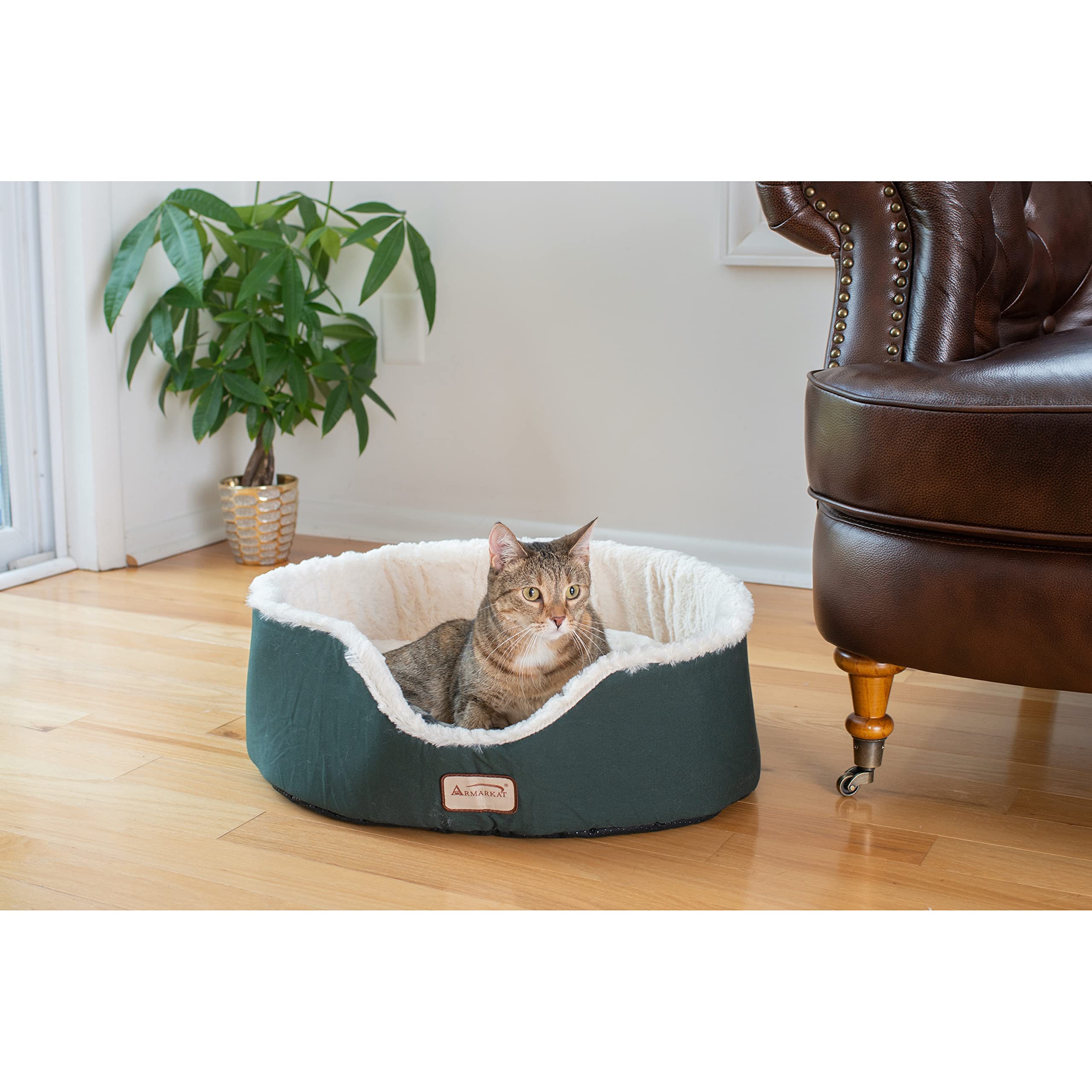 Armarkat Pet Bed 22-Inch by 19-Inch Oval, Laurel Green
