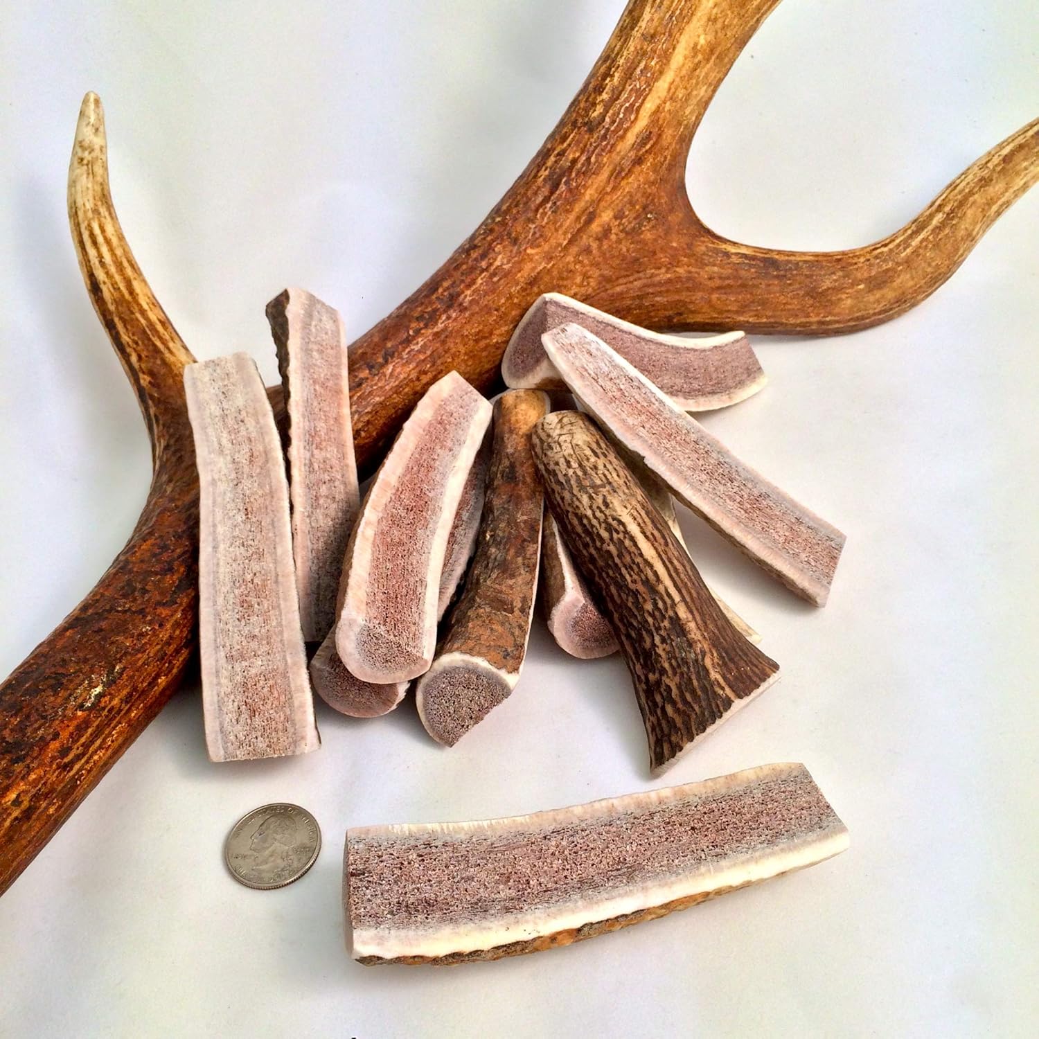 Petite Split Elk 6 Pack - Elk Antler Dog Chew - Grade A Premium - Organic - Made in USA - No Mess
