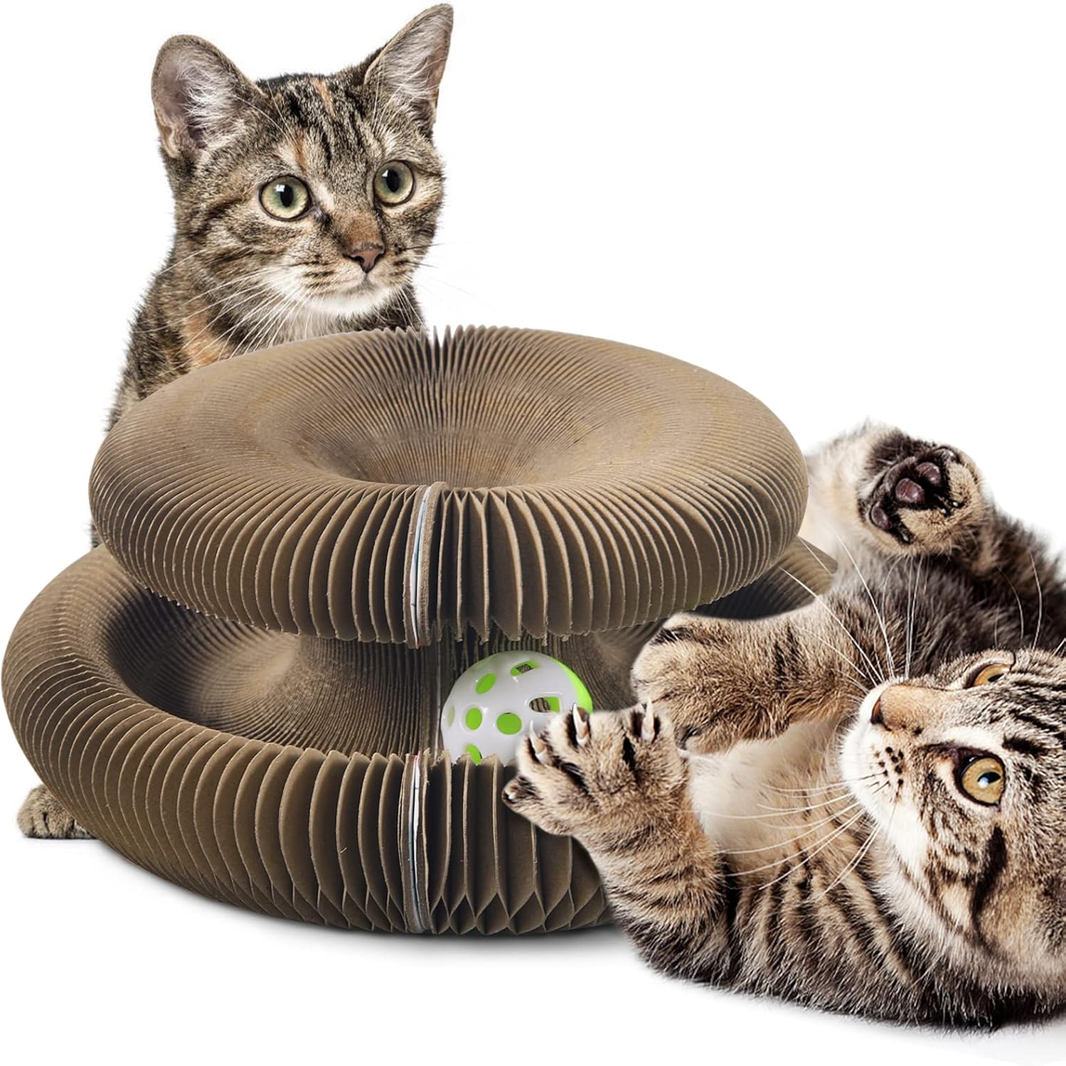 Paddsun Folding Cat Scratcher Board, Magic Organ Cat