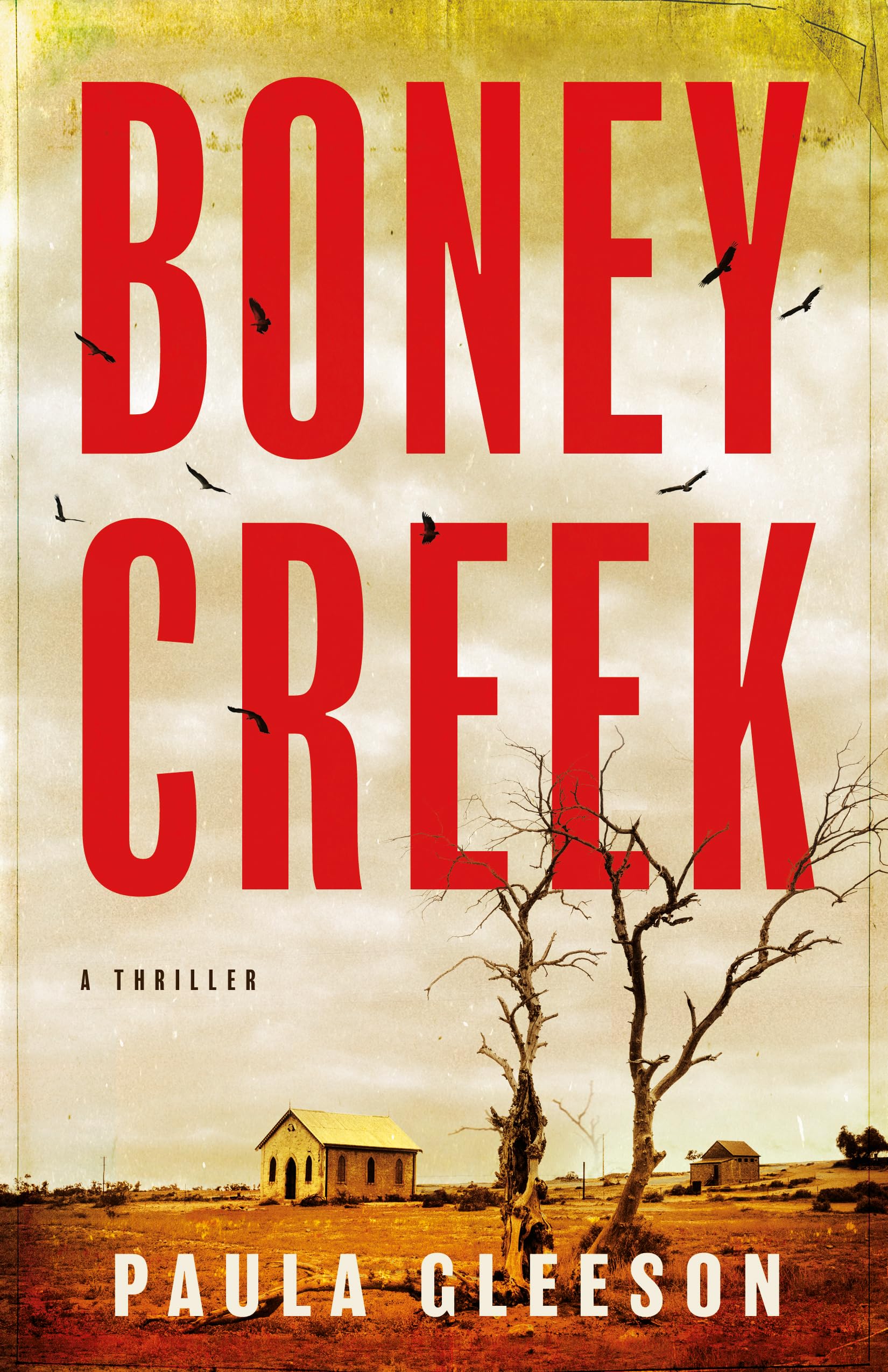 Boney Creek : A Thriller