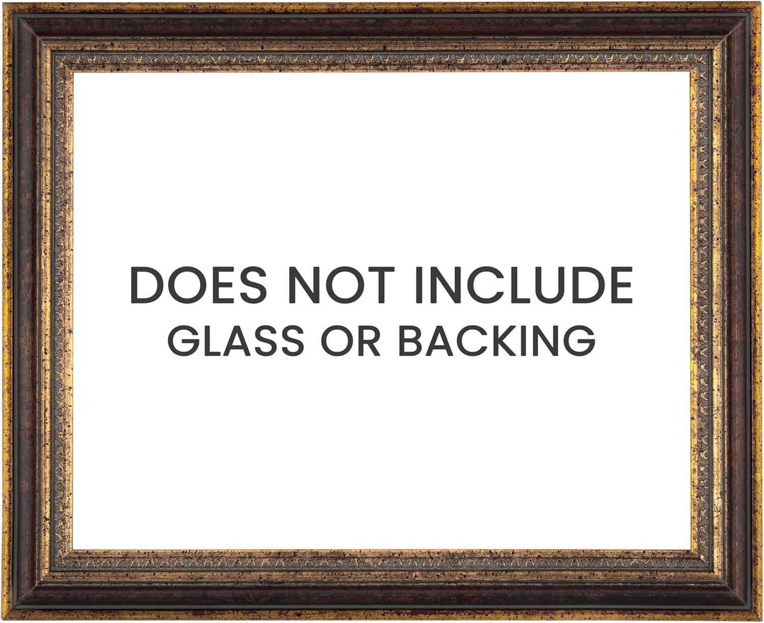 Imperial Frames Stratford Collection 9x12" Antique Bronze Neoclassical Wood Frame, Hand-Finished, Museum-Quality Open Back Frame for 3/4 Deep Canvas & Panels