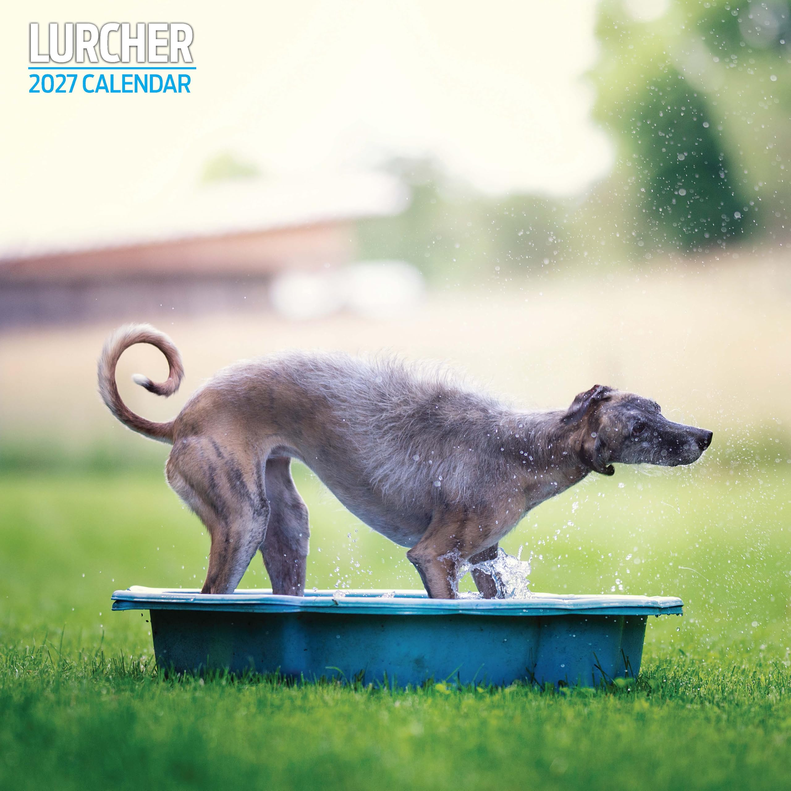 Lurcher 2027 Traditional Calendar