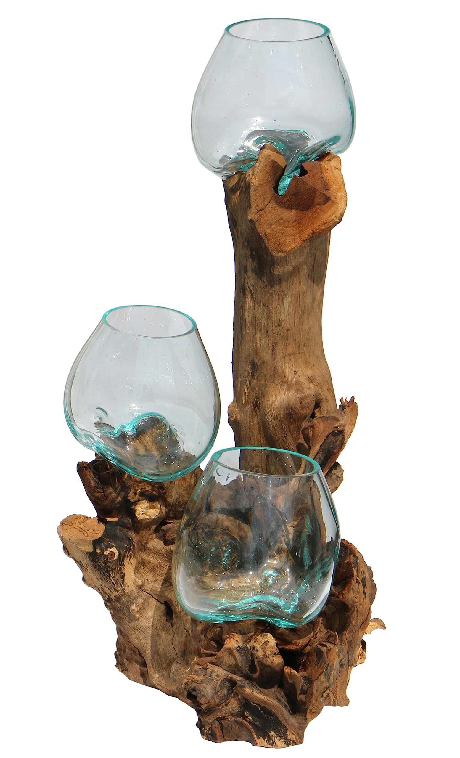 3er Glas-Vase auf Wurzel-Holz Gamal - im modernen Style aus Holz als Geschenk-Idee zu Weihnachten Geburtstag Dekoration (TRIO10 (Ø Glas 10 cm))